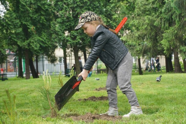 У маленької Мілани на «Алеї життя» є своя сосонка (Фото, відео)