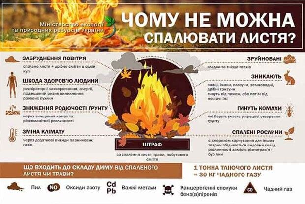 Пора змінити нерозумні традиції 