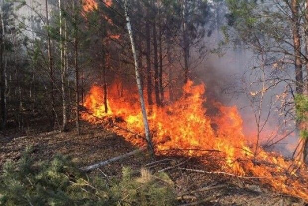 Зупинили вогонь лопатами та гіллям. Українці допомогли врятувати польське село від пожежі