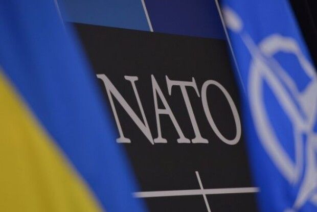 Члени Парламентської асамблеї НАТО звинувачують Росію у порушенні прав людини на Донбасі