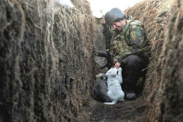 Наш воїн із песиками в окопі вразив увесь світ