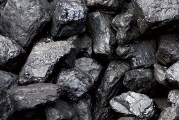 Після приходу до влади Зеленського Україна почала купувати вугілля з «Л/ДНР» через Білорусь, фактично фінансуючи терористів