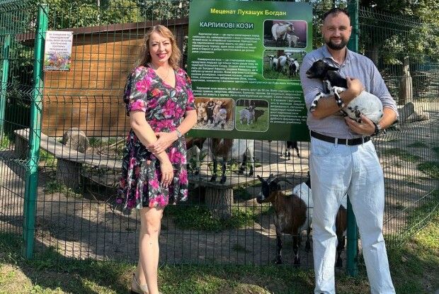 Карликові кози Луцького зоопарку отримали нового опікуна