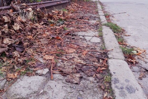 Шацька  селищна рада просить місцевих жителів поприбирати