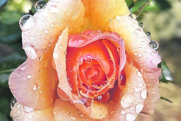  Щоб почати новий етап життя...