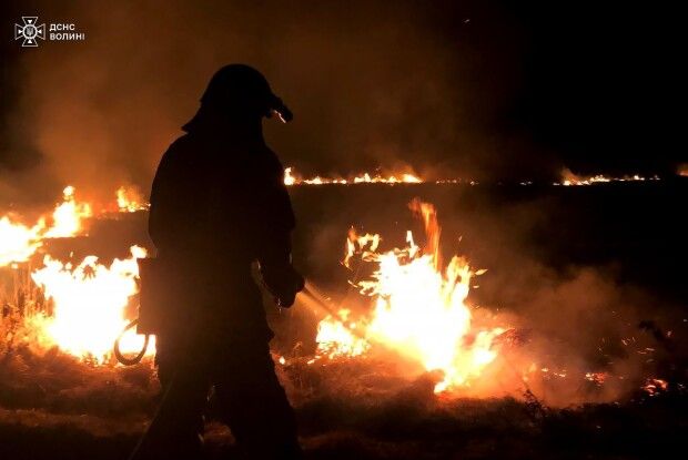 Волинські рятувальники понад 2 години приборкували пожежу сухої трави