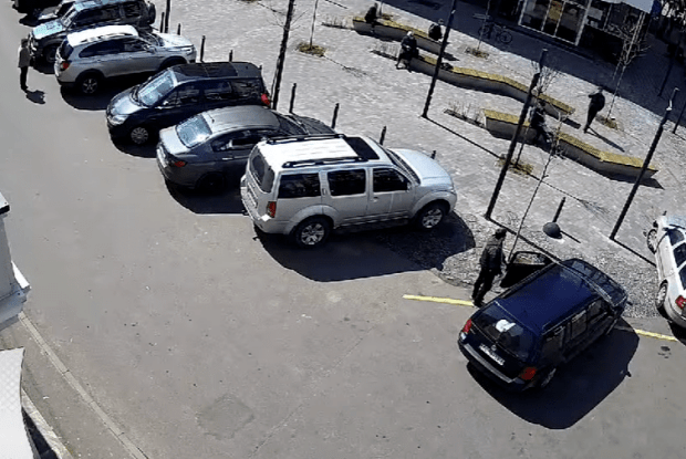 У центрі Луцька водійка наїхала на молоде дерево. Її зафіксували камери (Відео)