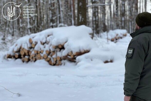 На Волині правоохоронці вилучили необліковану деревину