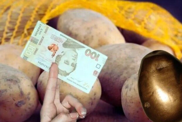 І картопля  для українців стала золотою