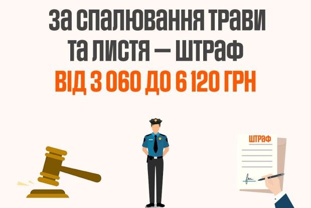 Який штраф чекає за спалювання сухої трави
