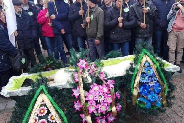 Під Верховну Раду принесли свиню в труні 