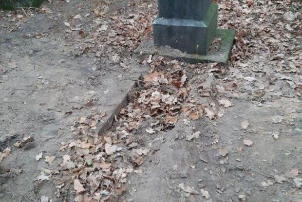 Шестеро волинян побили та заживо похоронили ківерчанина: зловмисників судитимуть (Фото)