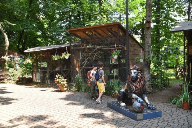 Браконьєрська здобич поїхала до Луцького зоопарку