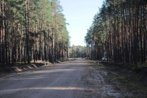 На Волині збудували лісову дорогу, щоб лісовози не зруйнували автошлях до місць захоронення польських вояків армії Пілсудського (Фото)