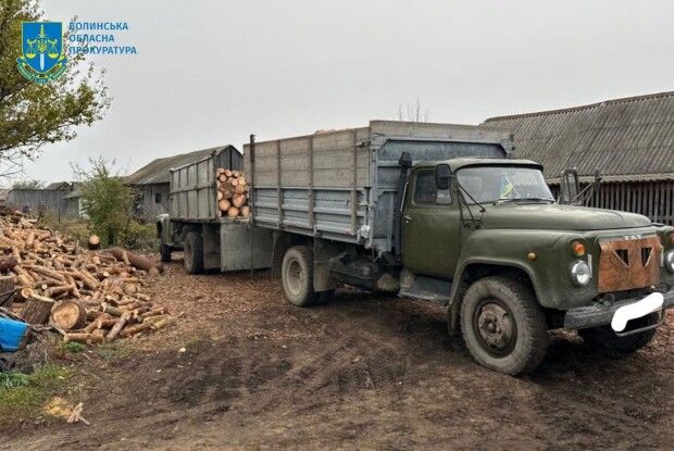 На Волині викрили злочинну організацію лісокрадів (Фото)