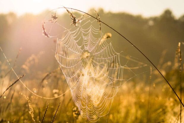 Народний синоптик із Волині розповів, якою буде погода восени та взимку