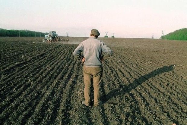 Аграрії Рівненщини виплатили власникам паїв 450 мільйонів гривень орендної плати