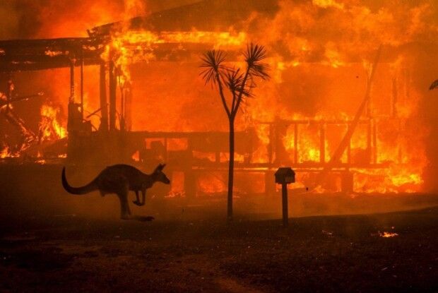 Петро Порошенко закликав простягнути руку допомоги дружньому австралійському народу