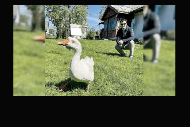 В Україні гуска прожила 39 років! 
