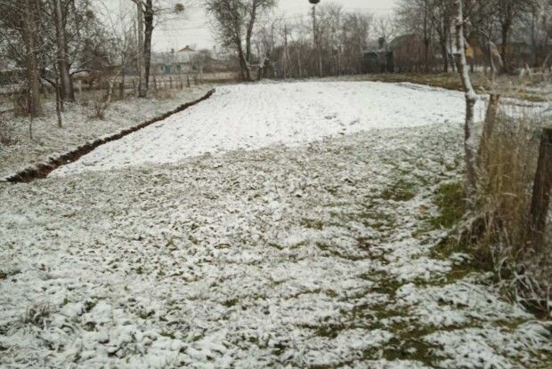 На Волині випав перший сніг (Фото)