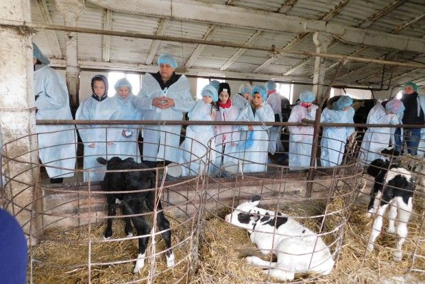 Школярі з Луцька побачили на Горохівщині, як виготовляється якісне молоко (Фоторепортаж)