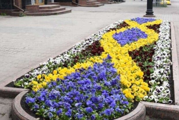 Геть клумби з квітами: у Луцьку просять міськраду перейти на багаторічні рослини