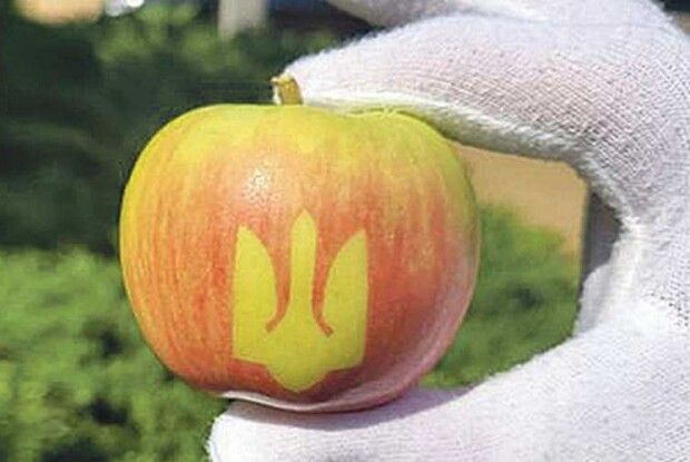 Коли є яблука з тризубом — ​все буде Україна!