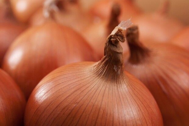 Аграрний антирекорд: вперше Україна змушена була імпортувати для своїх потреб понад 100 тисяч тонн цибулі
