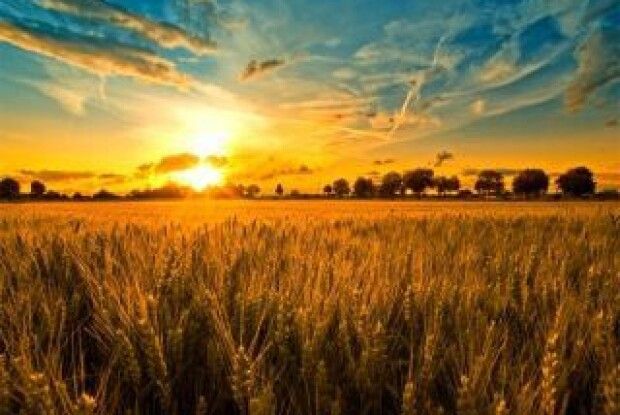 Синоптики спрогнозували, яким буде серпень