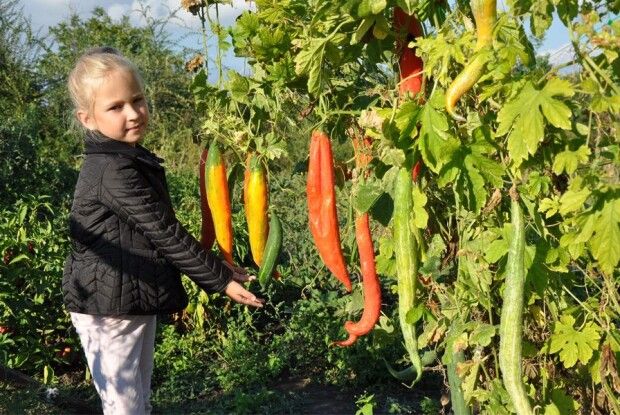 Тибетська медицина не лікує симптоми, а усуває причину захворювання