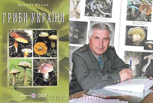 «Більш грибного краю,  як Карпати і Волинь, немає»
