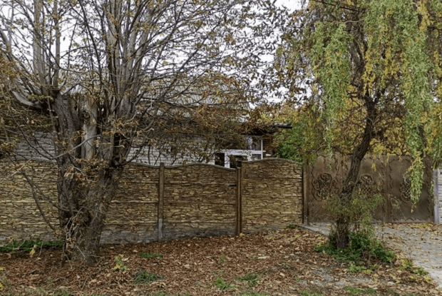 П'ять неаполітанських мастифів загризли 81-річну маму своєї господарки (Фото)