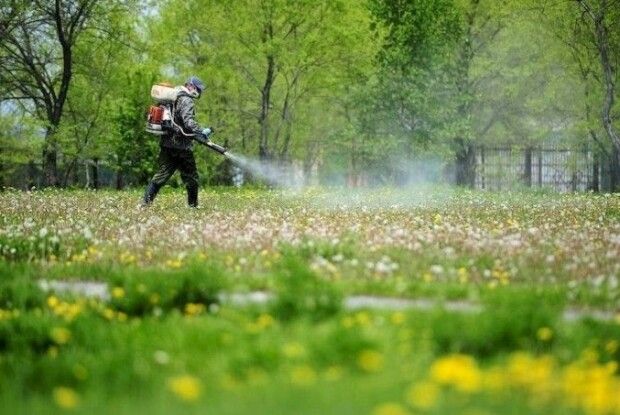 Де на Волині проведуть протикліщову обробку зон відпочинку