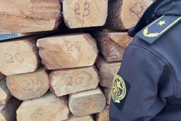 Житомирянин потайки віз через пункт пропуску на Волині близько 13 кубометрів деревини