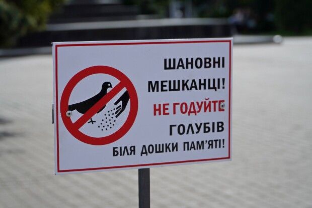 Волинян закликають не годувати голубів біля дошки пам'яті