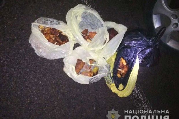 Киянин із двома китайцями перевозив 5 кілограмів бурштину
