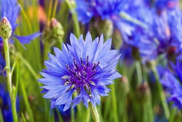 Хмарно, але тепло: якою буде погода на Волині