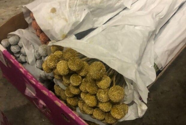 Підприємець хотів незаконно ввезти з Естонії в Україну 6 тонн свіжих квітів і листя
