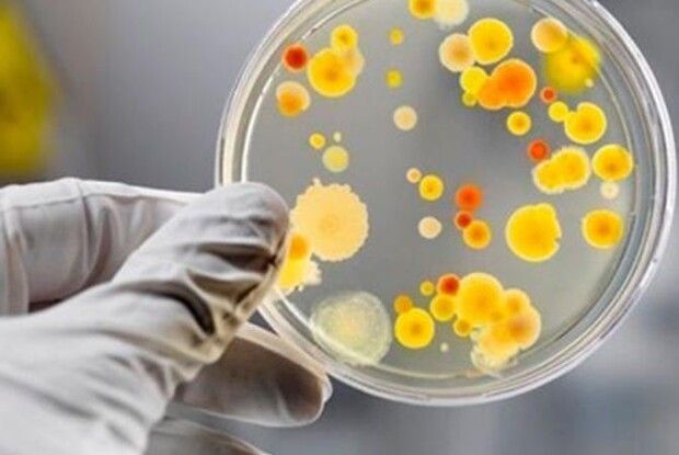 Щоб уберегтися  від сальмонельозу