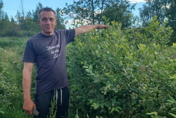 Родина Бедиників з Волині: навіщо їхати на заробітки, якщо на лохині і вдома можна заробити?