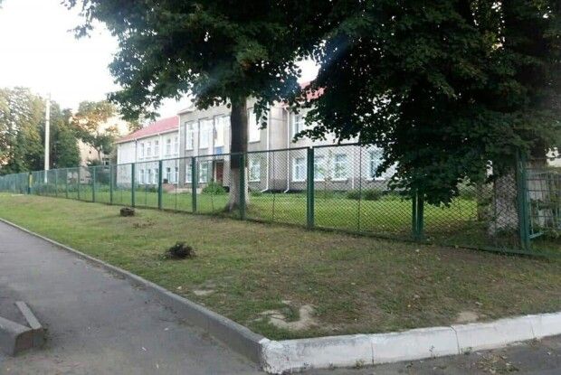 Після втручання «муніципалів» у Луцьку взялися косити траву