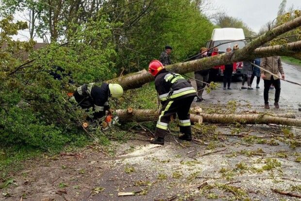 На Волині спозарання розчищали після нічної зливи дорогу