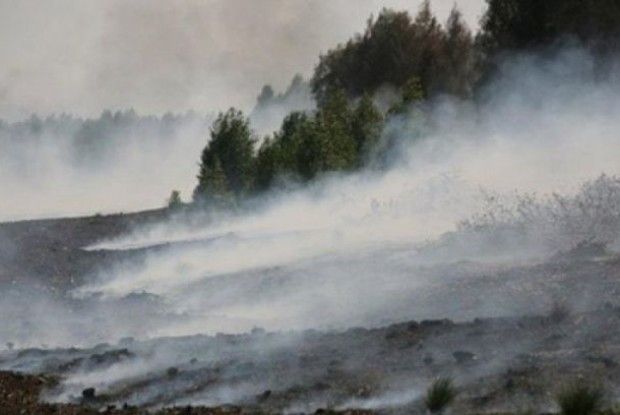 Гасять і сваряться: на Волині горить 7 гектарів торфовищ