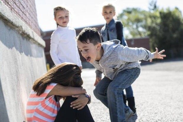 Що вирішив суд: на Волині неповнолітній вдарив однокласницю «щиглем»