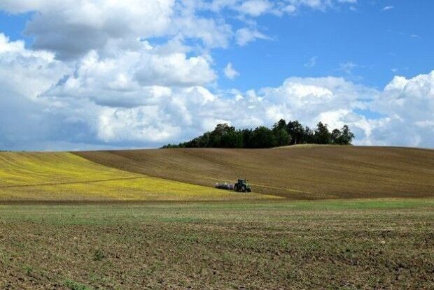 За яких умов в українців зможуть конфісковувати земельні ділянки