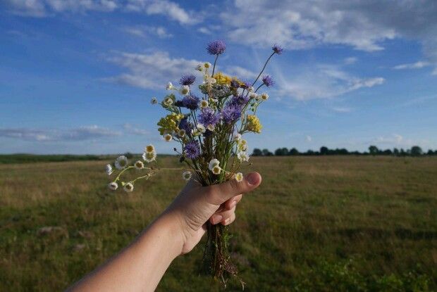 У тебе в долонях – літо!
