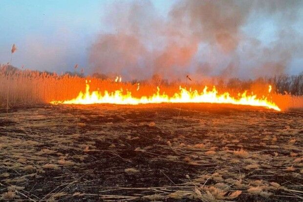 На Горохівщині знову підпалили сухостій