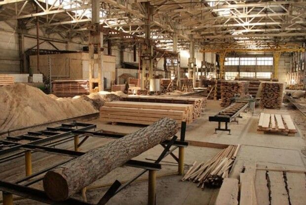 Зросла конкуренція приватників: ДП «Ліси України» закрило усі деревообробні цехи