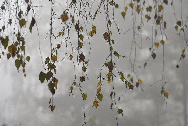 Якою буде погода на Волині