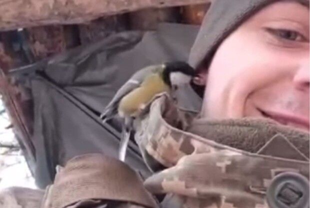 Українського військового «поцілувала»... синичка. Люди вірять, що це добрий знак (Відео)